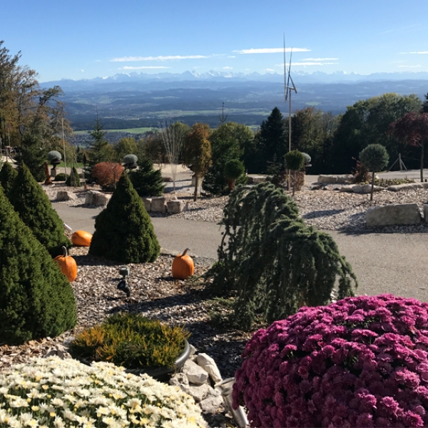 Vol dans la région du Blüemlismatt avec fondue à la clé